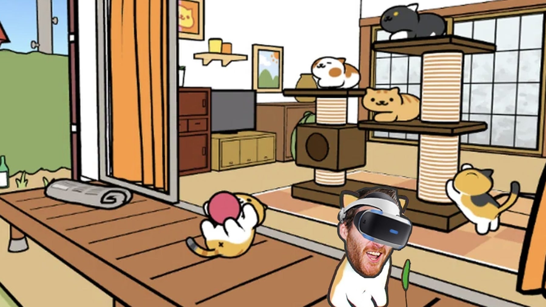 Neko Atsume VR Kitty Collector might be the most adorable VR game ever